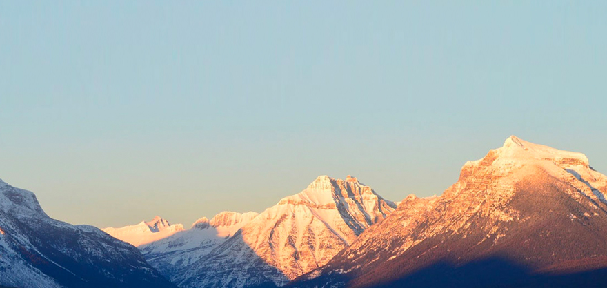 ����� | �ٷ���վ