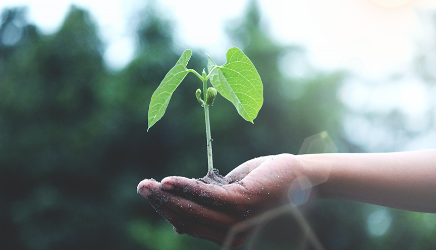 ����� | �ٷ���վ